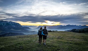 Alpina Herbst